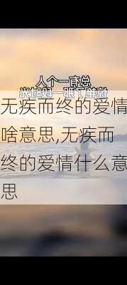 无疾而终的爱情啥意思,无疾而终的爱情什么意思