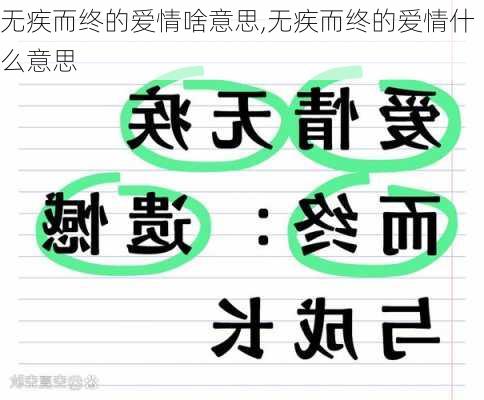 无疾而终的爱情啥意思,无疾而终的爱情什么意思