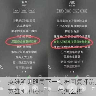 英雄所见略同下一句神回复押韵,英雄所见略同下一句怎么接