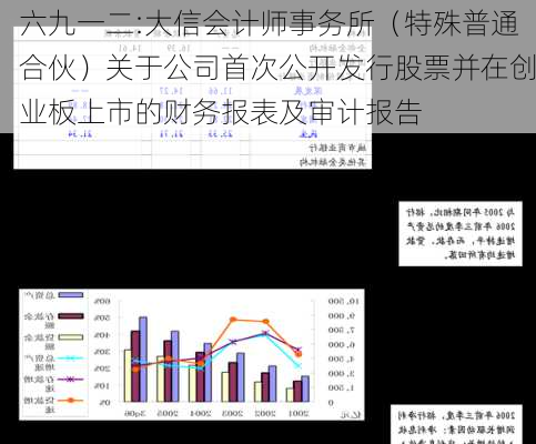 六九一二:大信会计师事务所（特殊普通合伙）关于公司首次公开发行股票并在创业板上市的财务报表及审计报告