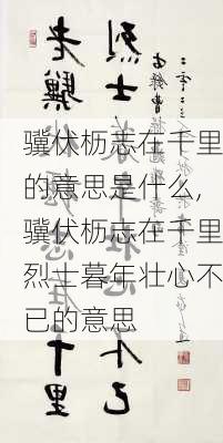 骥伏枥志在千里的意思是什么,骥伏枥志在千里烈士暮年壮心不已的意思