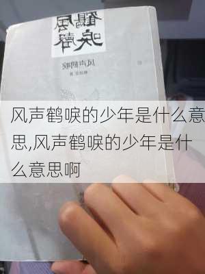 风声鹤唳的少年是什么意思,风声鹤唳的少年是什么意思啊