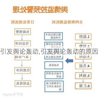 引发舆论轰动,引发舆论轰动的原因