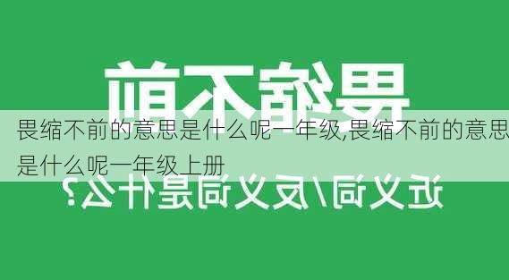 畏缩不前的意思是什么呢一年级,畏缩不前的意思是什么呢一年级上册