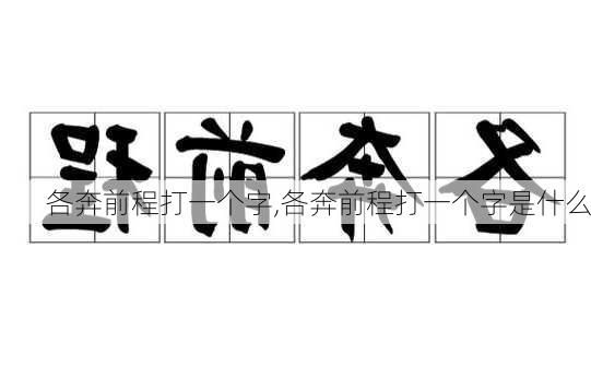 各奔前程打一个字,各奔前程打一个字是什么