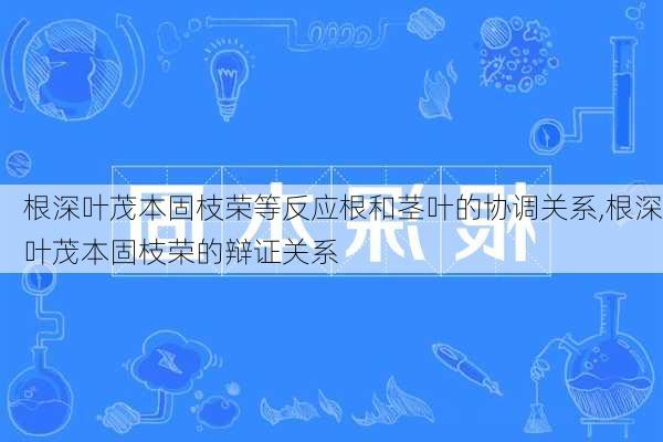 根深叶茂本固枝荣等反应根和茎叶的协调关系,根深叶茂本固枝荣的辩证关系