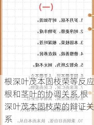 根深叶茂本固枝荣等反应根和茎叶的协调关系,根深叶茂本固枝荣的辩证关系