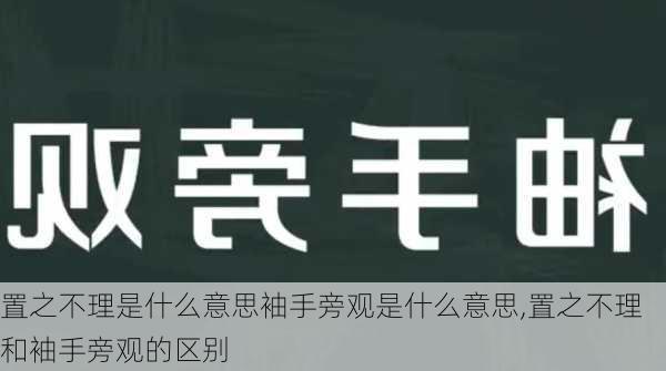 置之不理是什么意思袖手旁观是什么意思,置之不理和袖手旁观的区别