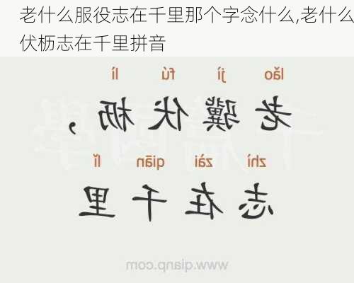 老什么服役志在千里那个字念什么,老什么伏枥志在千里拼音