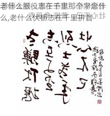 老什么服役志在千里那个字念什么,老什么伏枥志在千里拼音