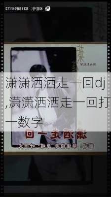 潇潇洒洒走一回dj,潇潇洒洒走一回打一数字