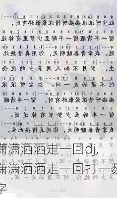 潇潇洒洒走一回dj,潇潇洒洒走一回打一数字