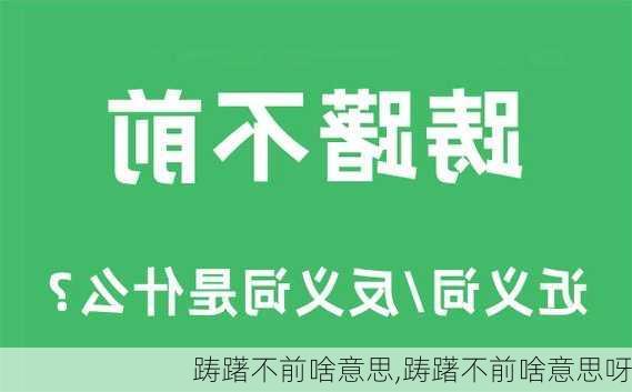 踌躇不前啥意思,踌躇不前啥意思呀