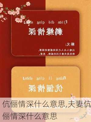 伉俪情深什么意思,夫妻伉俪情深什么意思