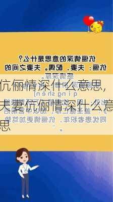 伉俪情深什么意思,夫妻伉俪情深什么意思