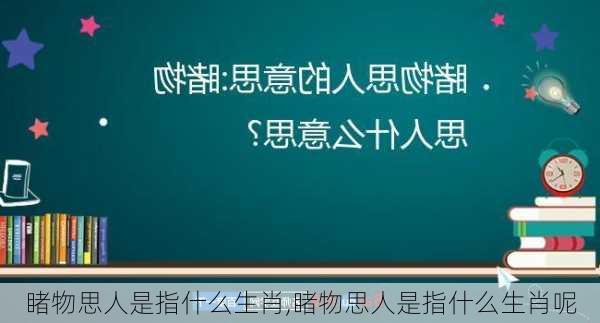 睹物思人是指什么生肖,睹物思人是指什么生肖呢