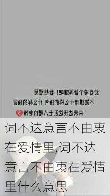 词不达意言不由衷在爱情里,词不达意言不由衷在爱情里什么意思