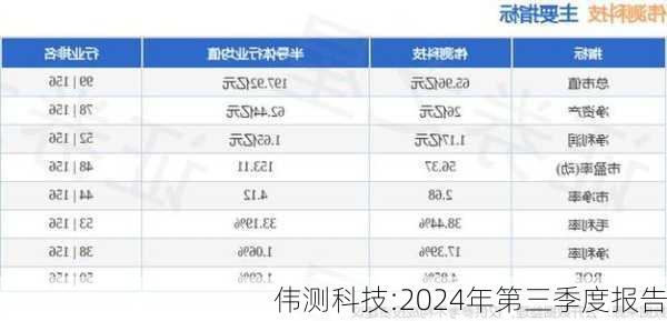 伟测科技:2024年第三季度报告