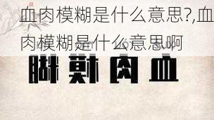 血肉模糊是什么意思?,血肉模糊是什么意思啊