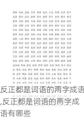 反正都是词语的两字成语,反正都是词语的两字成语有哪些