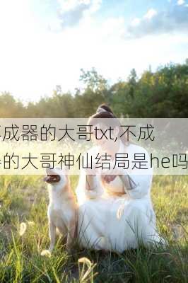 不成器的大哥txt,不成器的大哥神仙结局是he吗