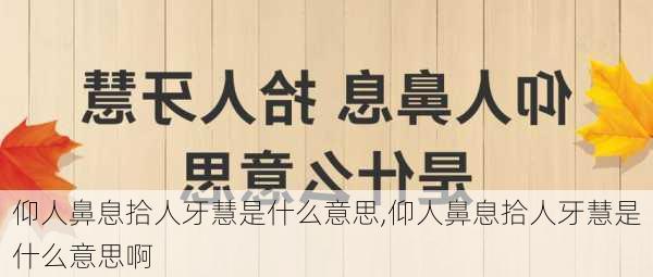 仰人鼻息拾人牙慧是什么意思,仰人鼻息拾人牙慧是什么意思啊