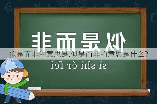 似是而非的意思是,似是而非的意思是什么?