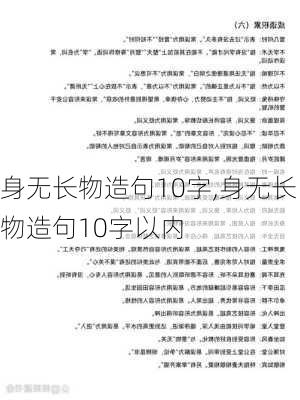 身无长物造句10字,身无长物造句10字以内