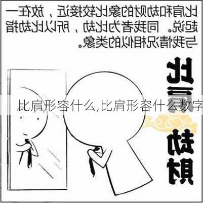 比肩形容什么,比肩形容什么数字