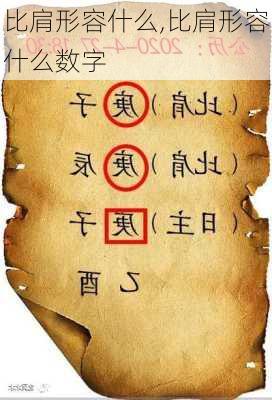 比肩形容什么,比肩形容什么数字