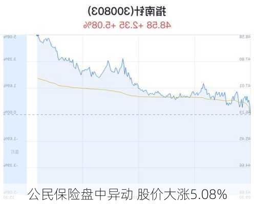 公民保险盘中异动 股价大涨5.08%