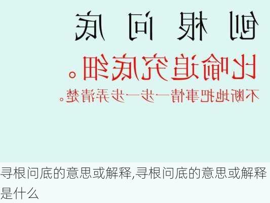 寻根问底的意思或解释,寻根问底的意思或解释是什么