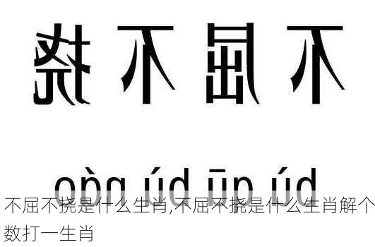 不屈不挠是什么生肖,不屈不挠是什么生肖解个数打一生肖