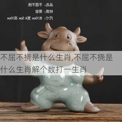 不屈不挠是什么生肖,不屈不挠是什么生肖解个数打一生肖