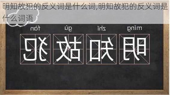 明知故犯的反义词是什么词,明知故犯的反义词是什么词语