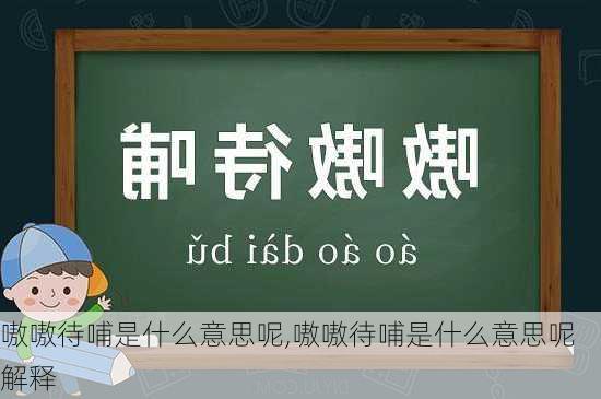 嗷嗷待哺是什么意思呢,嗷嗷待哺是什么意思呢解释