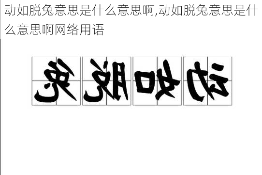 动如脱兔意思是什么意思啊,动如脱兔意思是什么意思啊网络用语