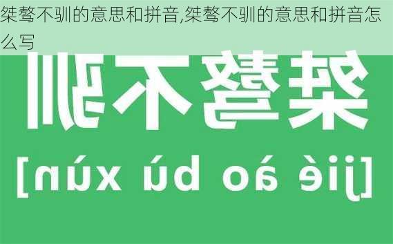 桀骜不驯的意思和拼音,桀骜不驯的意思和拼音怎么写