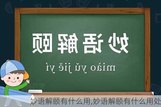 妙语解颐有什么用,妙语解颐有什么用处