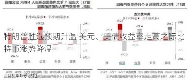 特朗普胜选预期升温 美元、美债收益率走高之际比特币涨势降温