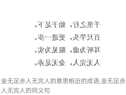 金无足赤人无完人的意思相近的成语,金无足赤人无完人的同义句