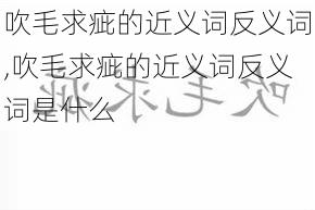 吹毛求疵的近义词反义词,吹毛求疵的近义词反义词是什么