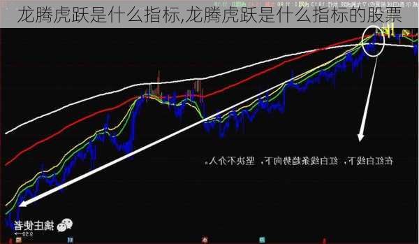 龙腾虎跃是什么指标,龙腾虎跃是什么指标的股票