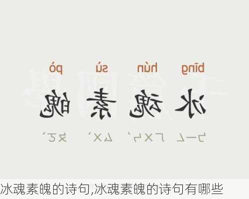 冰魂素魄的诗句,冰魂素魄的诗句有哪些