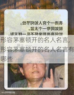 形容茅塞顿开的名人名言,形容茅塞顿开的名人名言有哪些