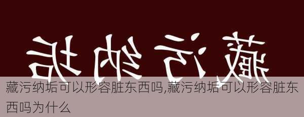 藏污纳垢可以形容脏东西吗,藏污纳垢可以形容脏东西吗为什么