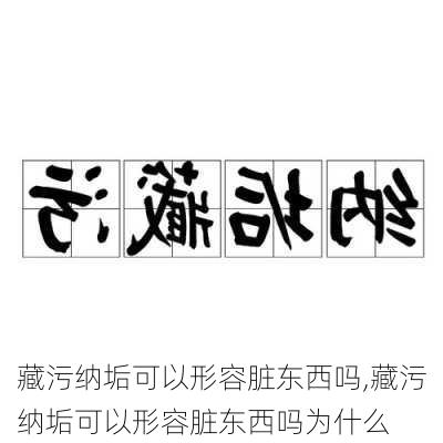 藏污纳垢可以形容脏东西吗,藏污纳垢可以形容脏东西吗为什么