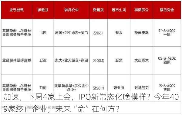 加速，下周4家上会，IPO新常态化啥模样？今年409家终止企业，未来“命”在何方？