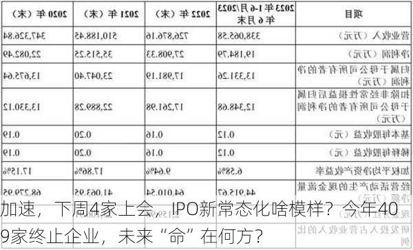 加速，下周4家上会，IPO新常态化啥模样？今年409家终止企业，未来“命”在何方？