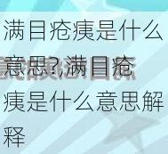 满目疮痍是什么意思?,满目疮痍是什么意思解释